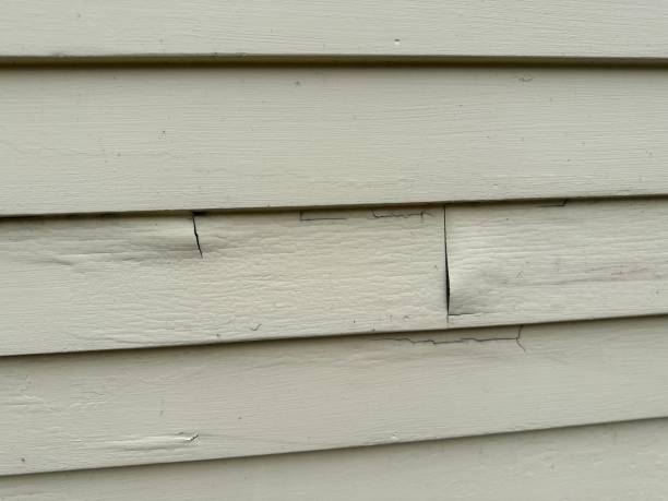 Affordable Siding Repair and Maintenance Services in Upper Brookville, NY